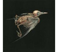 Jenny Hval & Susanna - Meshes of Voice [VINYL] [Vinilo]