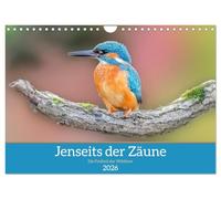 Jenseits der Zäune (Wandkalender 2026 DIN A4 quer), CALVENDO Monatskalender: "Jenseits der Zäune" zeigt in stimmungsvollen Tierfotografien die ... wie man sie nur selten zu sehen bekommt.