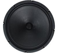 Jensen Altavoz, Verde, 12 Pulgadas (P12Q16)