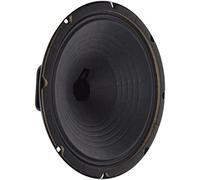 Jensen Vintage P10R16 Altavoz Alnico de 10 Pulgadas, 16 ohmios