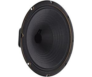 Jensen Vintage P10R16 Altavoz Alnico de 10 Pulgadas, 16 ohmios