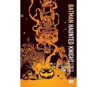 Jeph Loeb – Batman: Haunted Knight – Nueva edición – Tapa blanda