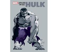 Jeph Loeb y Tim Sale – Hulk Gallery Edition – Marvel Comics