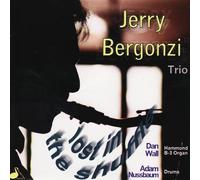 Jerry Bergonzi Trio - Lost in the Shuffle