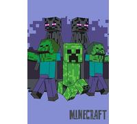 Jerry Fabrics Minecract - Manta de forro polar supersuave, 100 x 150 cm, regalo para niños, adolescentes y adultos