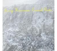 Jerry Harrison - Casual gods (1988) / Vinyl record [Vinyl-LP]