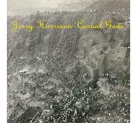 Jerry Harrison : Casual Gods - Casual Gods