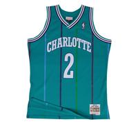 Jersey Charlotte Hornets Swingman Larry Johnson #2 L