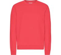 Jersey Colorful Standard Classic Organic Red Tangerine M