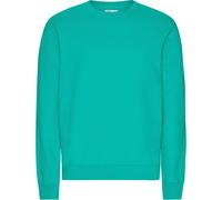 Jersey Colorful Standard Classic Organic Tropical Sea L