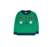 Jersey de Tricot, de Color Verde con Estampado de Oso y Botones para niño. Colección Trecking Time.