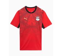 PUMA Réplica de Camiseta EFA Home