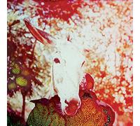 Jerusalem in My Heart - If He Dies, If If If If If If