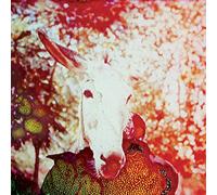 Jerusalem In My Heart - If He Dies, If If If If If If [Vinilo]