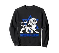 Jerusalén Israel León Ascendente Estrella judía de David Vintage Sudadera