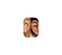 JeryWe Pendientes Acero Inoxidable Mujer Piercing Oreja Acero Quirurgico 4 Pares con 2 Cadenas Pendientes Dorados Hipoalergenicos Plata Mujer Helix Piercing Tragus Daith Mariposa