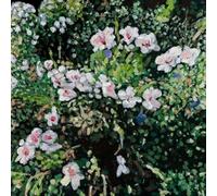 Locke,Jess - Don't Ask Yourself Why