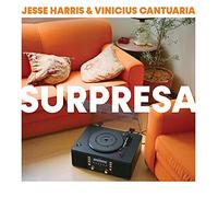 Jesse Harris & Vinicius Cantuaria - Surpresa