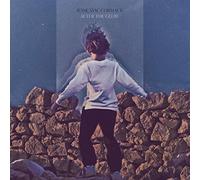 Jesse Mac Cormack - After The Glow [Vinilo]