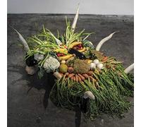 Jesse Osborne-Lanthier - Left My Brain @ Can Paixano (La Xampanyeria) OST [Vinilo]