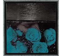 Baliff - At the Down Turned Jagged Rim of the Sky [Vinilo]