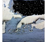 Jessica Moss - Pools Of Light [Vinilo]