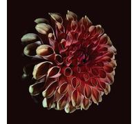 Jessica Moss - Unfolding [Vinilo]