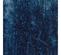 Jesu - Never EP (LP) [VINYL]