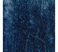 Jesu - Never [VINYL] [Vinilo]