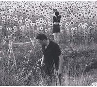 Jesu / Sun Kil Moon - America´S Most Wanted