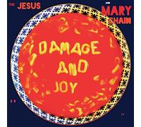 Jesus and Mary Chain,the - Damage and Joy (Black Vinyl) (2LP) [Vinilo]