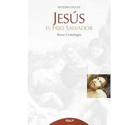 Jesús, El Hijo Salvador: Breve Cristología (Cuestiones Fundamentales)