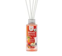 JESUS GOMEZ CASA Aromas Mikado Manzana Canela 100 ML.
