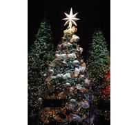 Jesus: The Reason for Season