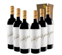 Jesús Yllera Vino Tinto - Ideal para Maridar con Carne y Comida Mediterránea - Pack 6 Botellas 75cl