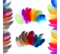 Jesustree Plumas Manualidades De Colores, 300 Piezas Plumas Naturales de Artesanales, Plumas de Ganso Mixtas para DIY Atrapasueños, Disfraces, Aretes, Decoración para el Hogar, Boda, Fiesta, 7-12cm