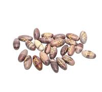 Jet International A ++ Narmada Lingam Rune Stone Set Flat Curación genuina Energía positiva Amor Espiritual Divino Psíquico