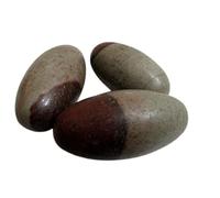 Jet International Exquisito Narmada 2"Piedra Shiva Lingam Sagrada India Vedas piadosas Upanishads Hindú Auspicioso Fertilidad Vida sexual Río Narmadeshvar Señor Shiva Altar Guía Curación