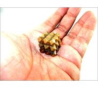 Jet International Ojo de tigre Pirámide Cubo 54 Cristal Lemurian Gemstone Vastu