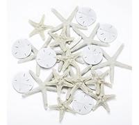 Jetec 24 Pcs Starfish Assorted Decor 3.14 Inch Starfish for Crafts Star Fish Shells Decorations Sand Dollar Ornament White Resin Star Fish Decorations for Wedding Beach Party Decor DIY Craft Supplies
