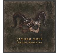 Jethro Tull Curious Ruminant (CD) (Importación USA)