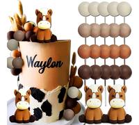 JeVenis cake topper vaquero caballo cake topper western decoracion de pastel vaquero mi primer rodeo para vaquera vaquero del oeste fiesta rodeo