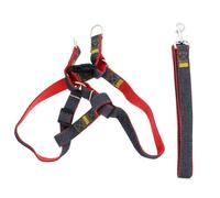 JEWEDECO Arnés para Perros Resistente y Ajustable Correa de Tela Duradera, Set de 2 Piezas Adecuado para Paseos y Actividades al Aire Libre