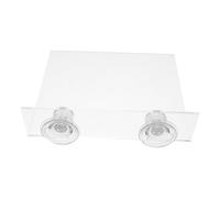 JEWEDECO Percha para Pájaros con Ventosa Fuerte, Plataforma Transparente sin Bordes, Soporte Portátil para Loros y Periquitos, Gimnasio de Juego para Ventana y Ducha, Accesorio para Jaula