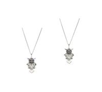 Jewelry Women Oil Pendant Diffusers Diffuser for Essential Oils Owl Necklace Silver