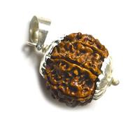 Jewelryonclick Real 5 Mukhi Five Face Rudraksha Colgante Rudraksh Medallón de plata de ley para curar la semilla