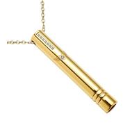 JewelryWe Collar Ansiedad Respiratoria Consciente: Colgante de Antiestrés Silbato Silencioso para Hombre y Mujer de Acero Inoxidable con Circonita Cúbica Hipoalergénico Oro - Para Meditar Regalo