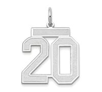 JewelryWeb Collar con colgante de oro blanco de 14 quilates con diseño de número de juego deportivo de satén de 14 quilates, 14,7 x 11,3 mm, colgante para mujer, talla única, Oro Metal Oro Blanco, No