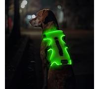 Jewyow Arnés para Perro Iluminado, Reflectante, para Perros Medianos y Grandes, Arnés LED Recargable con 4 Correas Ajustables, 3 Modos, Impermeable para Caminar por la Noche, Lluvia, Verde-XL