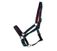 JF-Reitsport Cabestro acolchado de nailon, ajustable en nariz y cuello, con mosquetón, diferentes tamaños y colores (verde, cob)